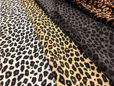Leopard Design